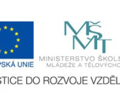 ICT proti bariérám